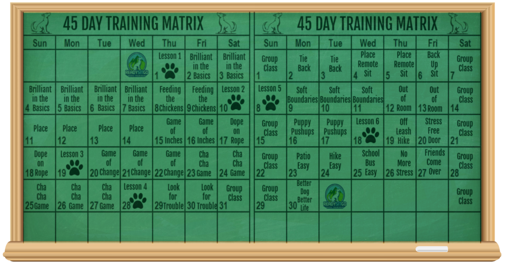Dream Dog Blueprint Daily Training matrix