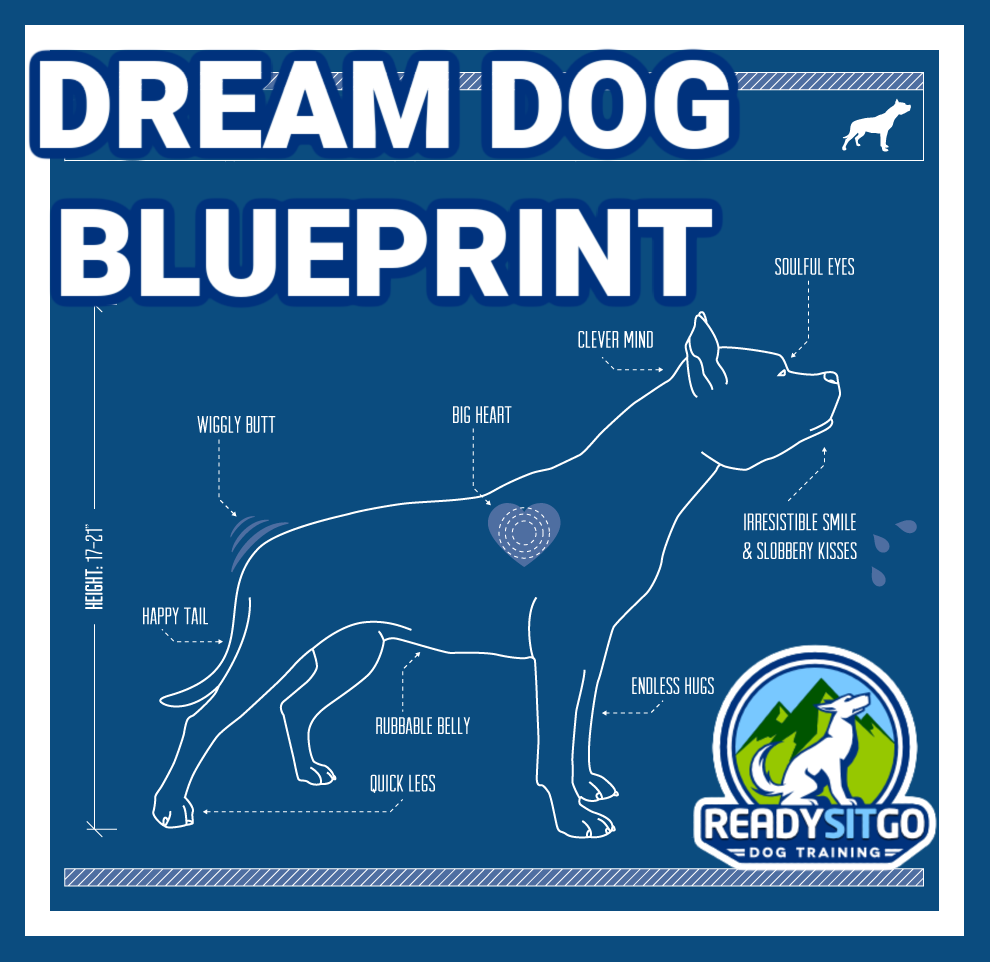 Dream Dog Blueprint