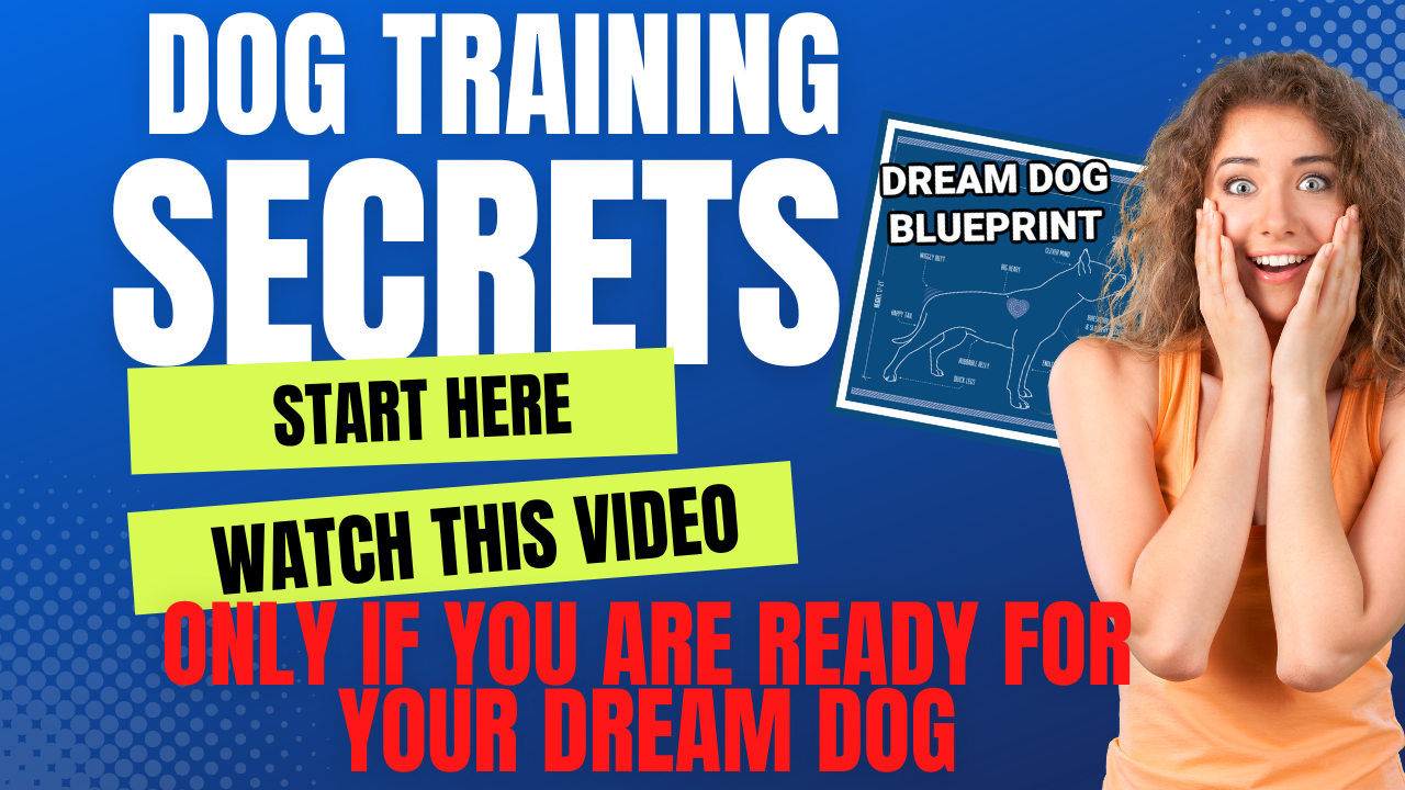 Dog Training Secrets YouTube Thumbnail