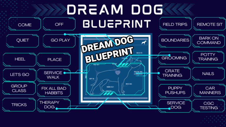 Dream Dog Blueprint Training Breakdown