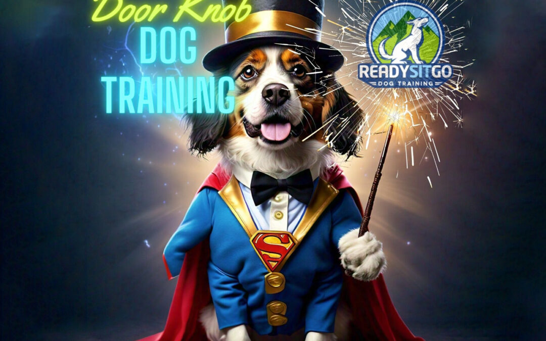 From Houdini to Hero: The Unlikely Door Knob Dog Training Hack
