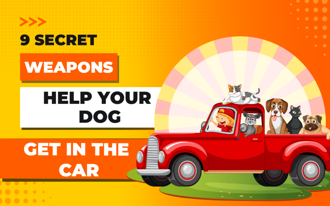 The Secret Weapons Every Dog Owner Needs: 9 Ways to Unlock Effortless Car Loading (Without Losing Your Mind or Your Back)
